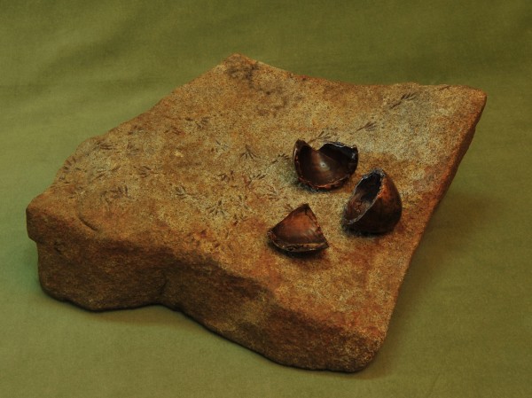 Vem d�r? (66 KB) - back