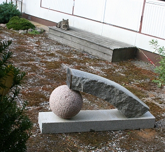 Rymdresen�r / Space Voyager